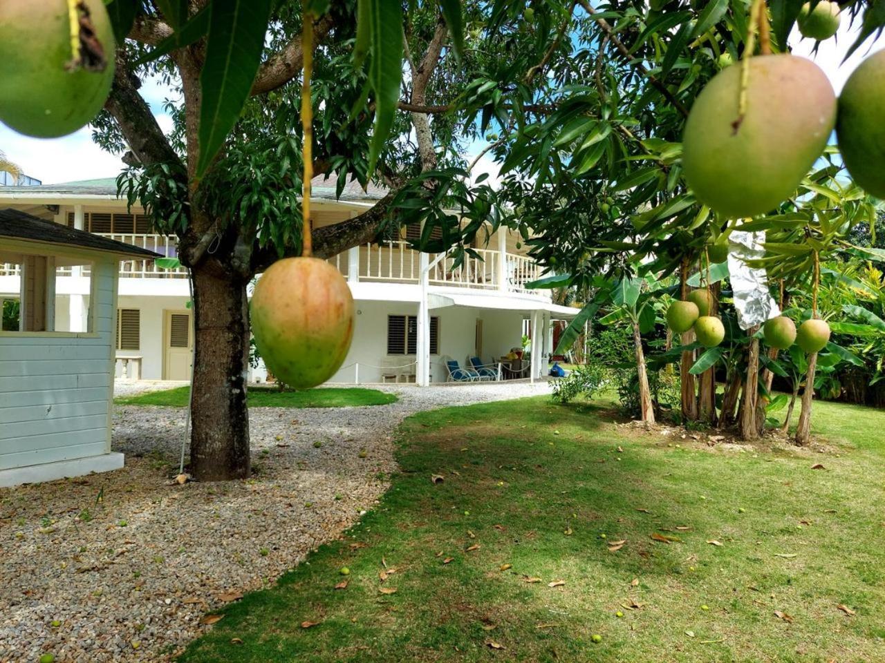 Hotel Casa Robinson Las Terrenas Buitenkant foto