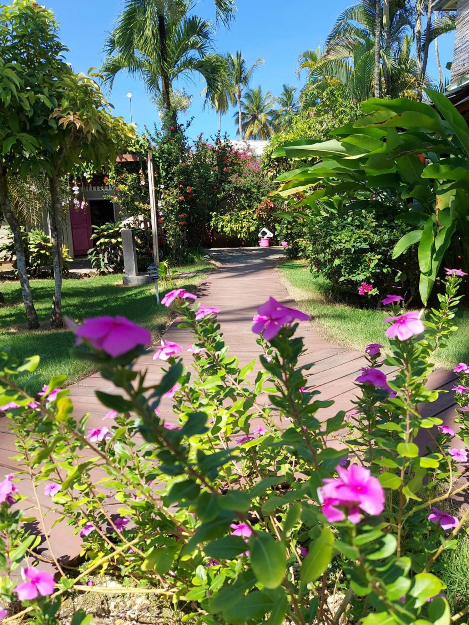 Hotel Casa Robinson Las Terrenas Buitenkant foto