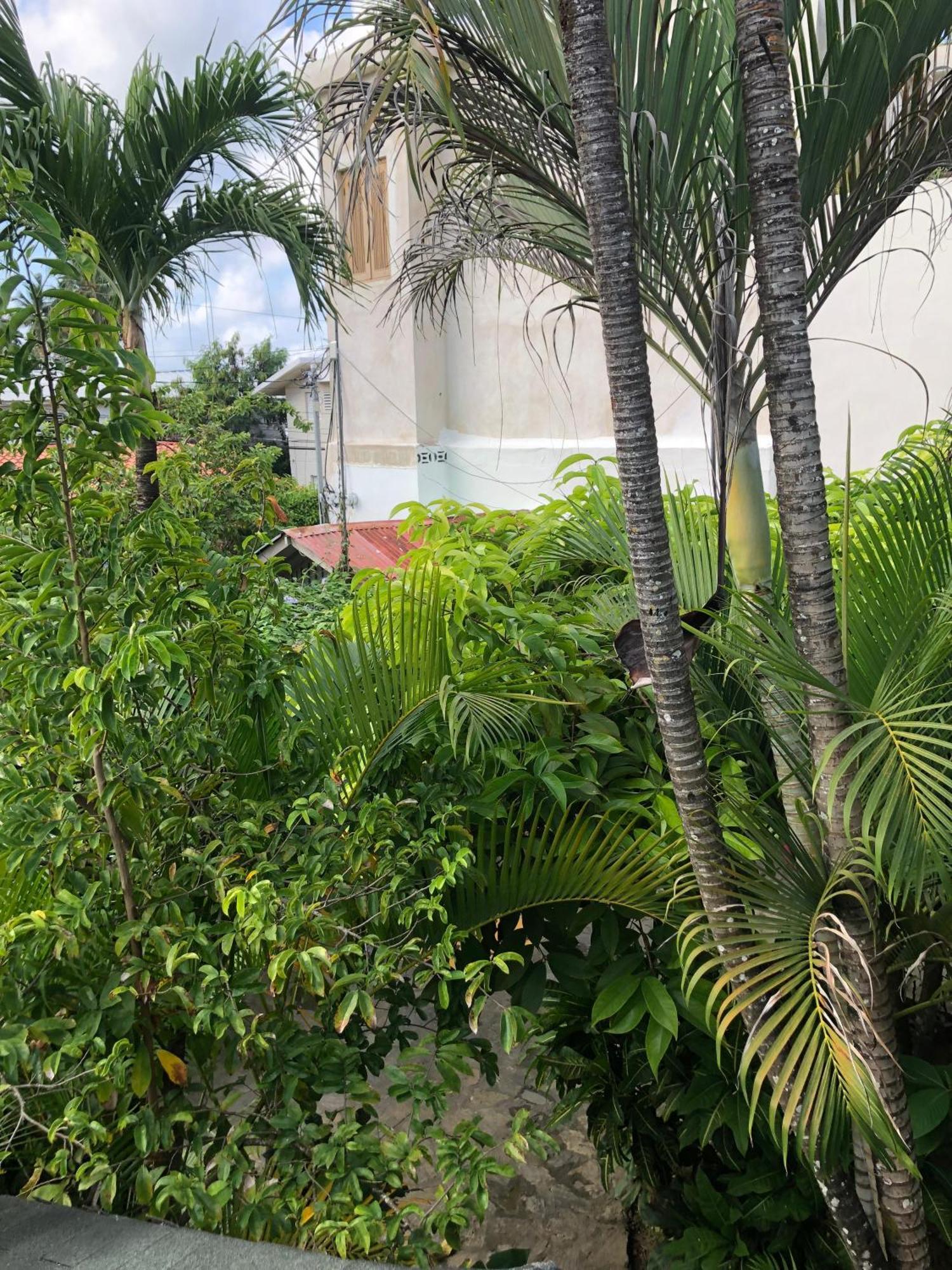 Hotel Casa Robinson Las Terrenas Buitenkant foto